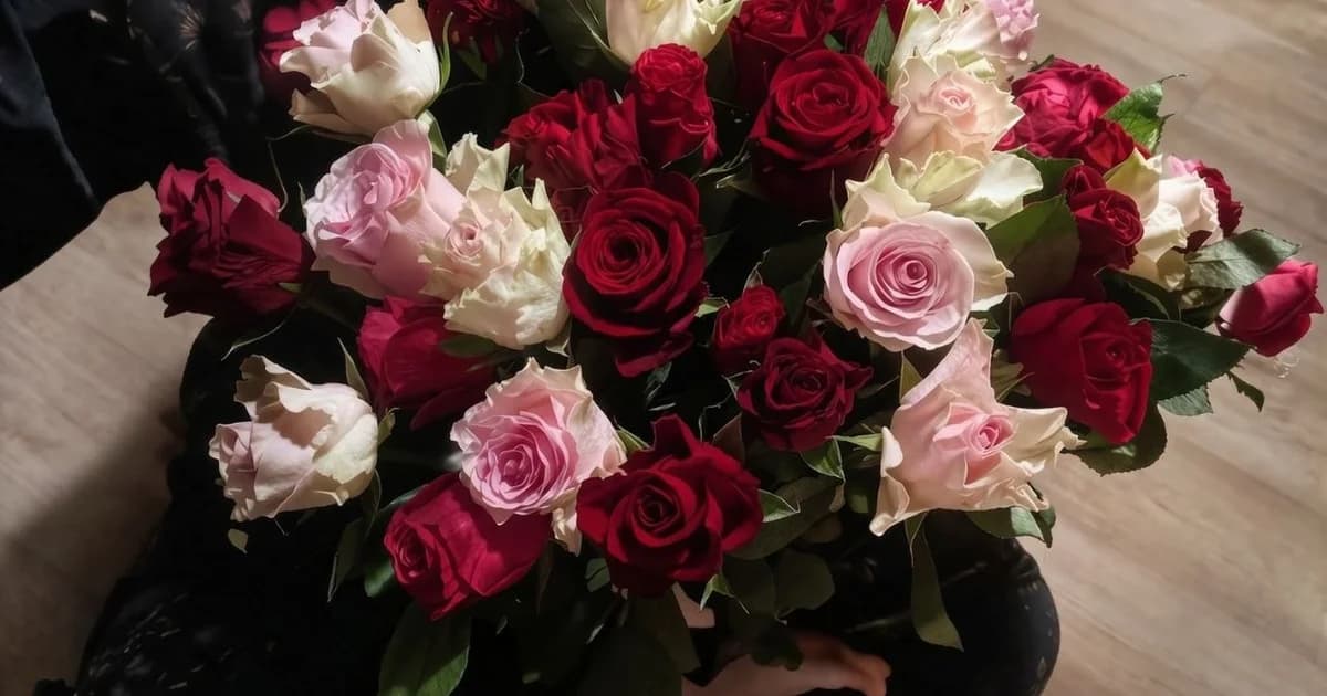 МенталНова: первый месяц и слова благодарности