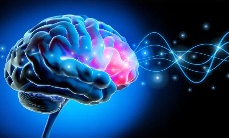 Ваш мозг умеет перестраиваться: как КПТ создает устойчивые изменения (подтверждено нейробиологией).