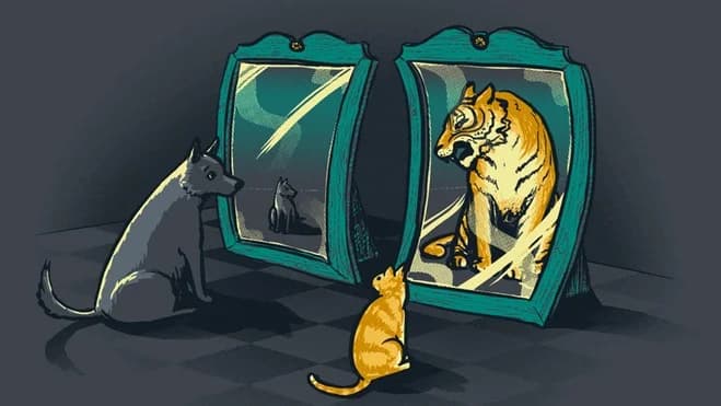 Самооценка. Уверенность. 