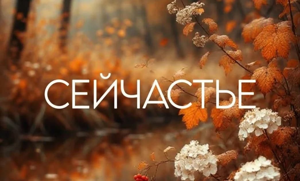Замороженные чувства. Почему страницы нашей жизни остаются пустыми?